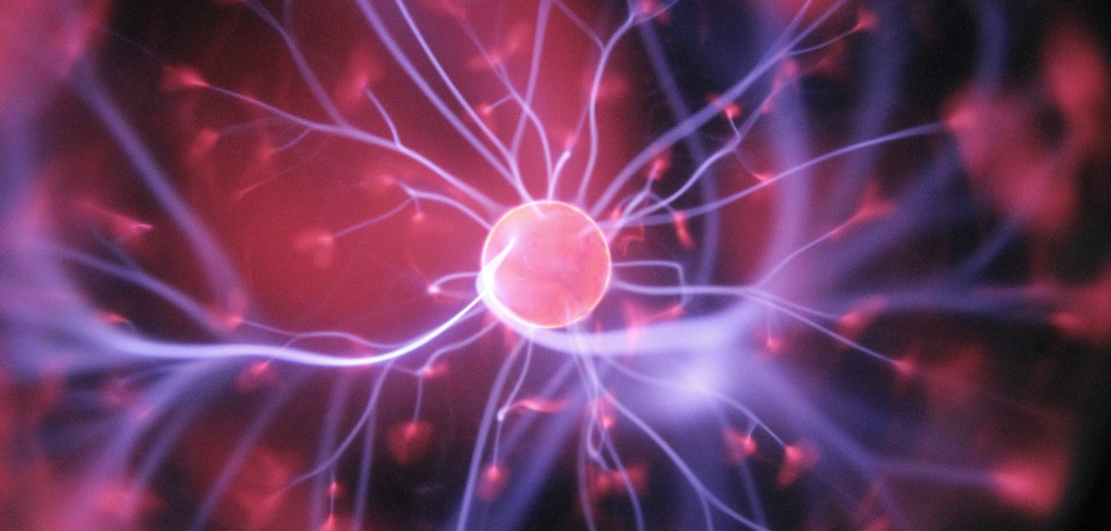 Brain